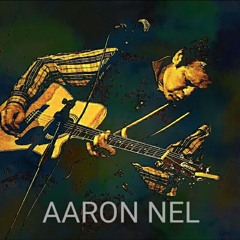 Aaron Nel