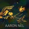 Aaron Nel