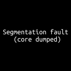 SEG_FAULT