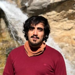 Amirhossein Rezavand