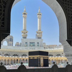 Aya Ahmed Mohamed 944