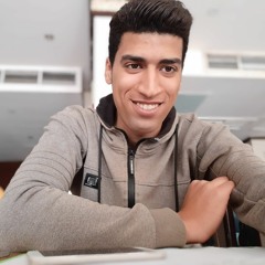 فكرى الصغير