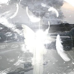 flowers with butterflies in a dream