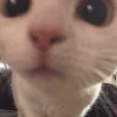 ㅇ