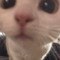 ㅇ