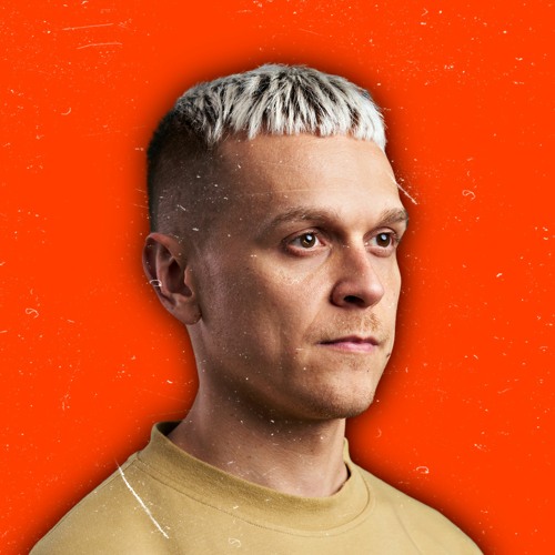 bavikon artist photo