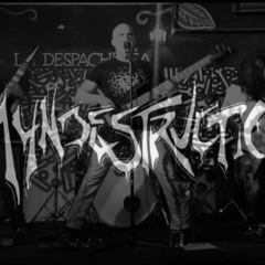 Myndestruction