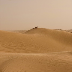 Martynas Balčiūnas