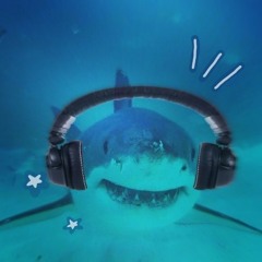 SharkBeats