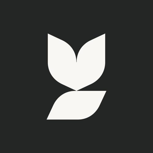 Brand You Studio’s avatar