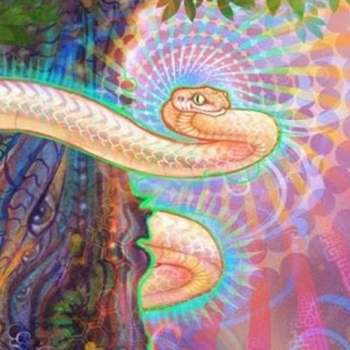 Wąż-Sfromrimini’s avatar