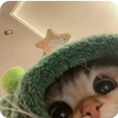 Zuongggh