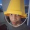 Luis2cool