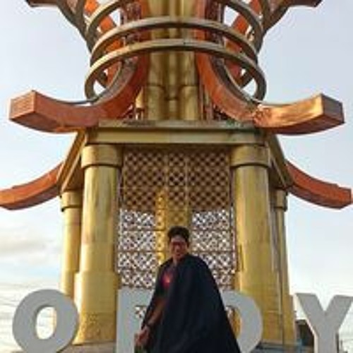 Aldho Mandiri’s avatar