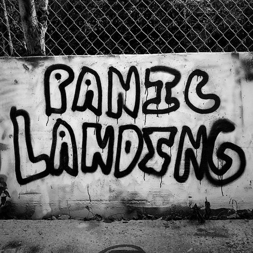 Panic Landing’s avatar