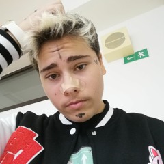 Maler_dnv