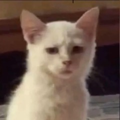⁠