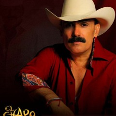 El Chapo De Sinaloa