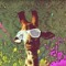 PafGiraffe