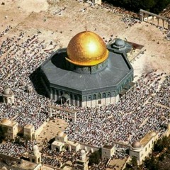 آلاء مصطفى