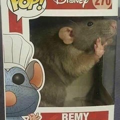 rat