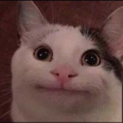 Toast333