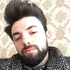 Ahmet Emin Sever