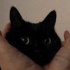 deki