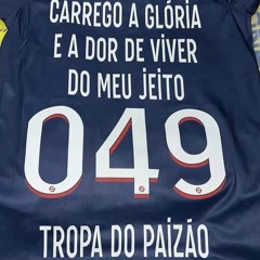 trem da Sul 55