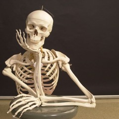 coolskeleton96