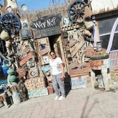 Dolly Elsayed