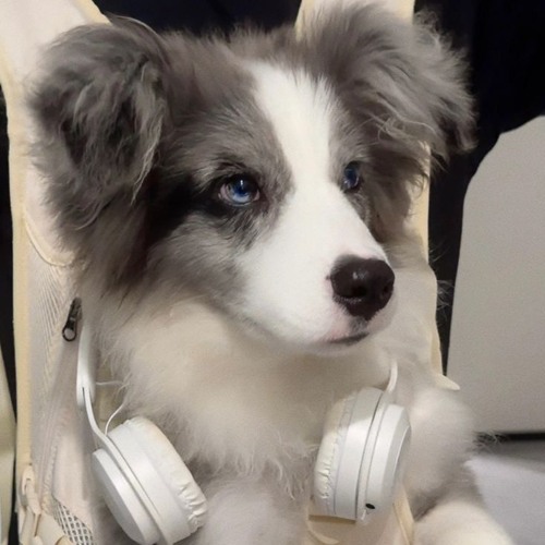 FNF Digitalizing 2 But Dashy & Aristio Sing It