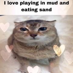 hahadude