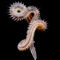 Feelix