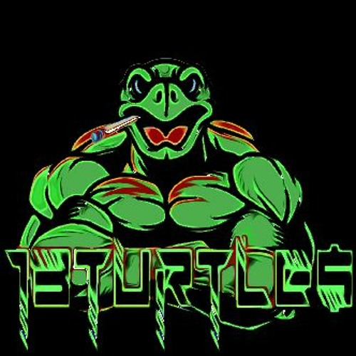 Stream 13TurtlE$ music | Listen to songs, albums, playlists for free on ...