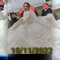 Doaa Khaled