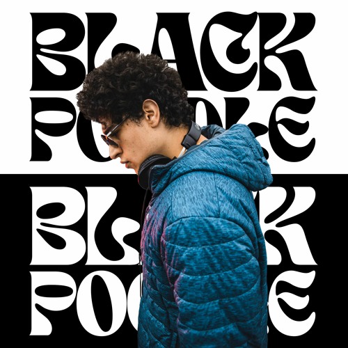 Stream BlackPoodleMusic music | Listen to songs, albums, playlists for ...