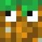 the crazy minecrafter