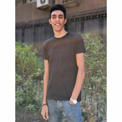 Mohamed Elsify