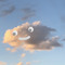 dashc