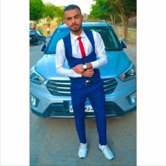 Ahmed H Teleb