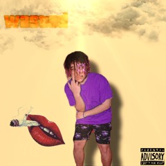 𝐌𝐀𝐋𝐙𝐈.𝐄