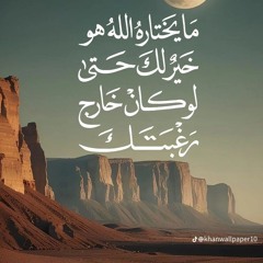 Amr Waled