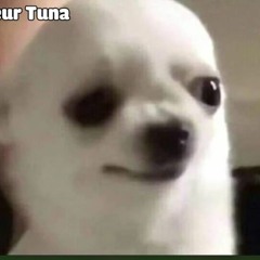 Koi Koi