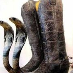 Carhatt