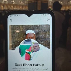Saadelnour Bakhiet Abakr