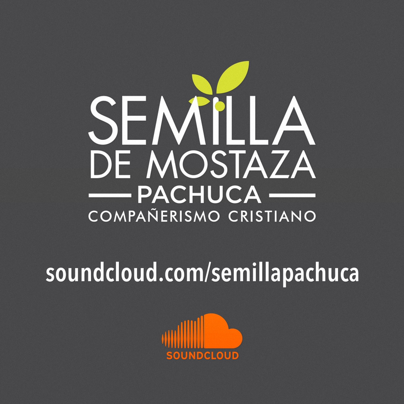 Semilla de Mostaza Pachuca