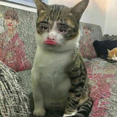 민서명