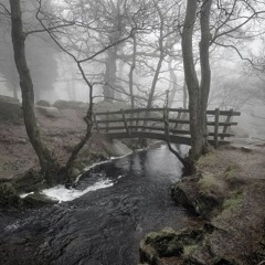 тоха педаля