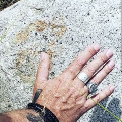 Hand on the Rock